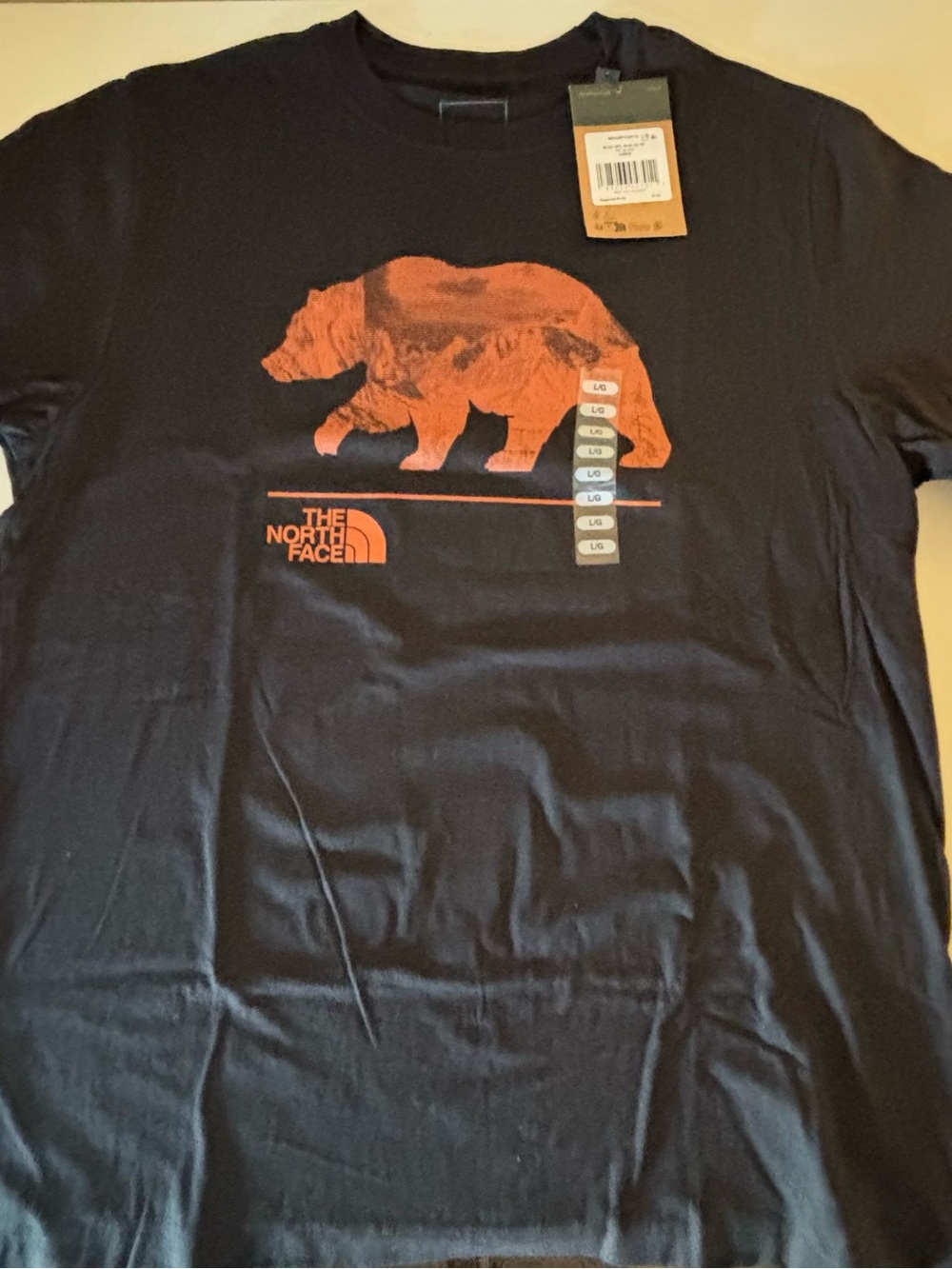 The North Face Men's Evolution Mountain Bear T-Shirt in Black Size Large